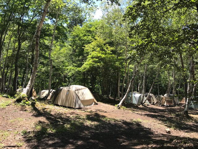 【憩いの森キャンプ場】大自然でキャンププラン!